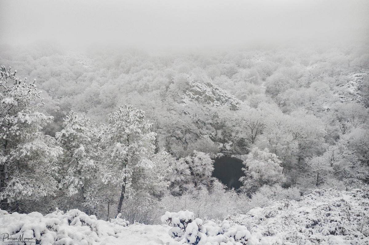 Phlippe Manguin Photographies - neige 2023.jpg (893 KB)